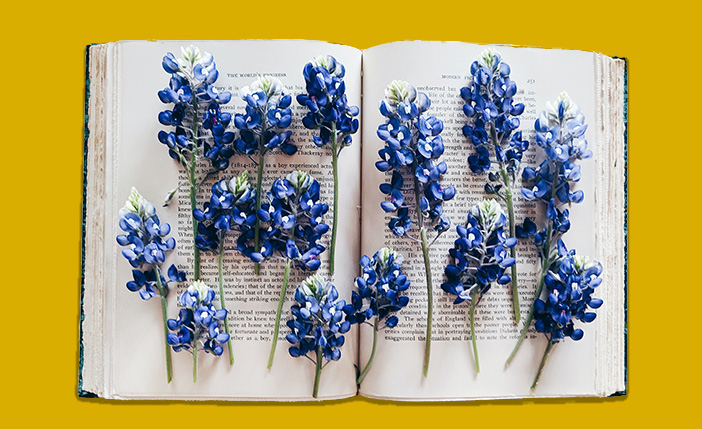 A book with blue flowers on the pages. 