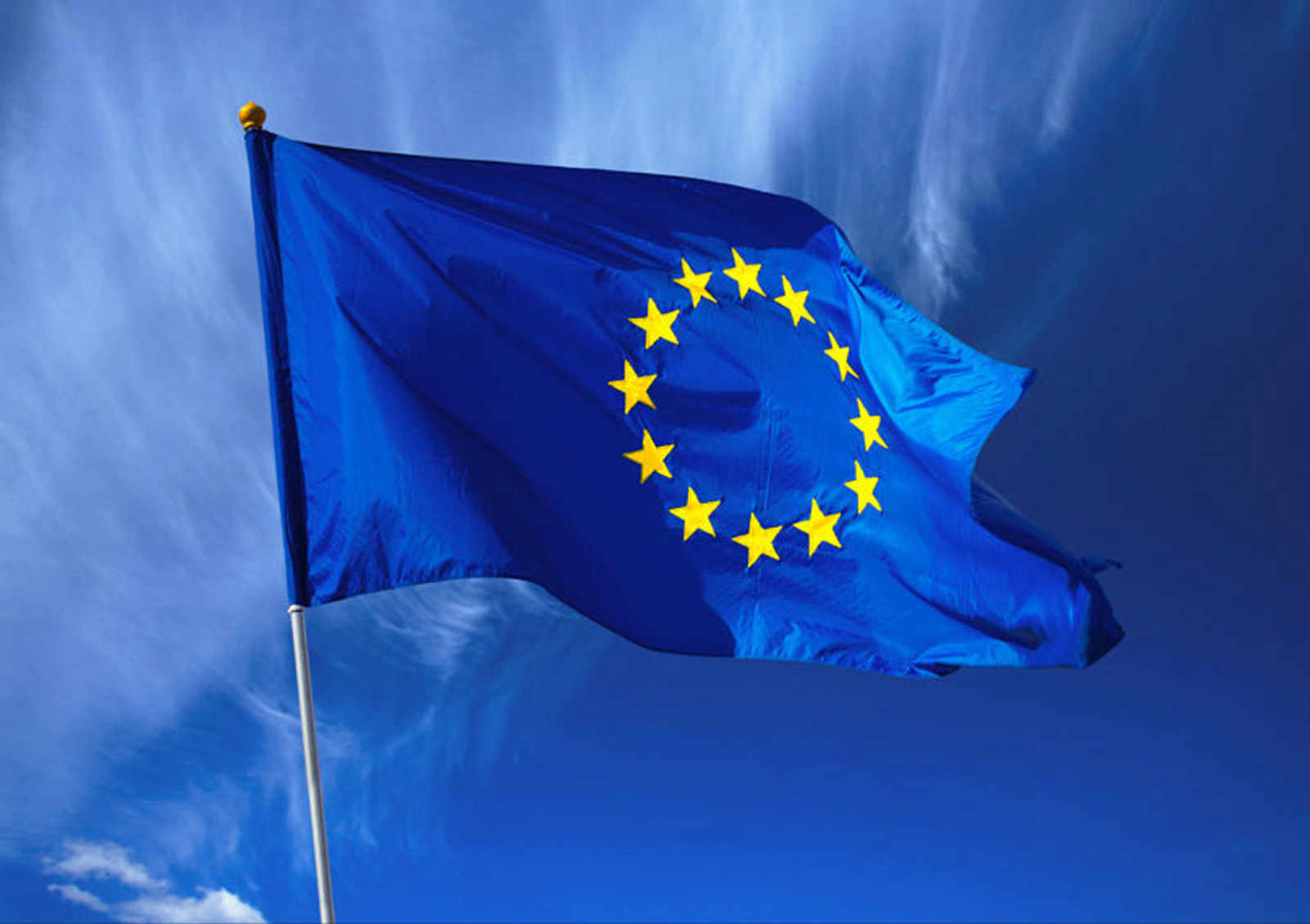 A picture of the EU flag. 