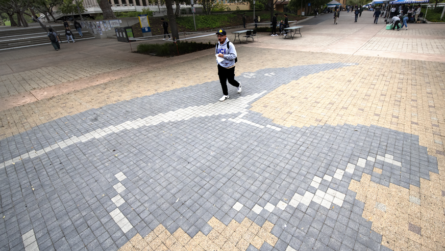 An anteater made of pavers