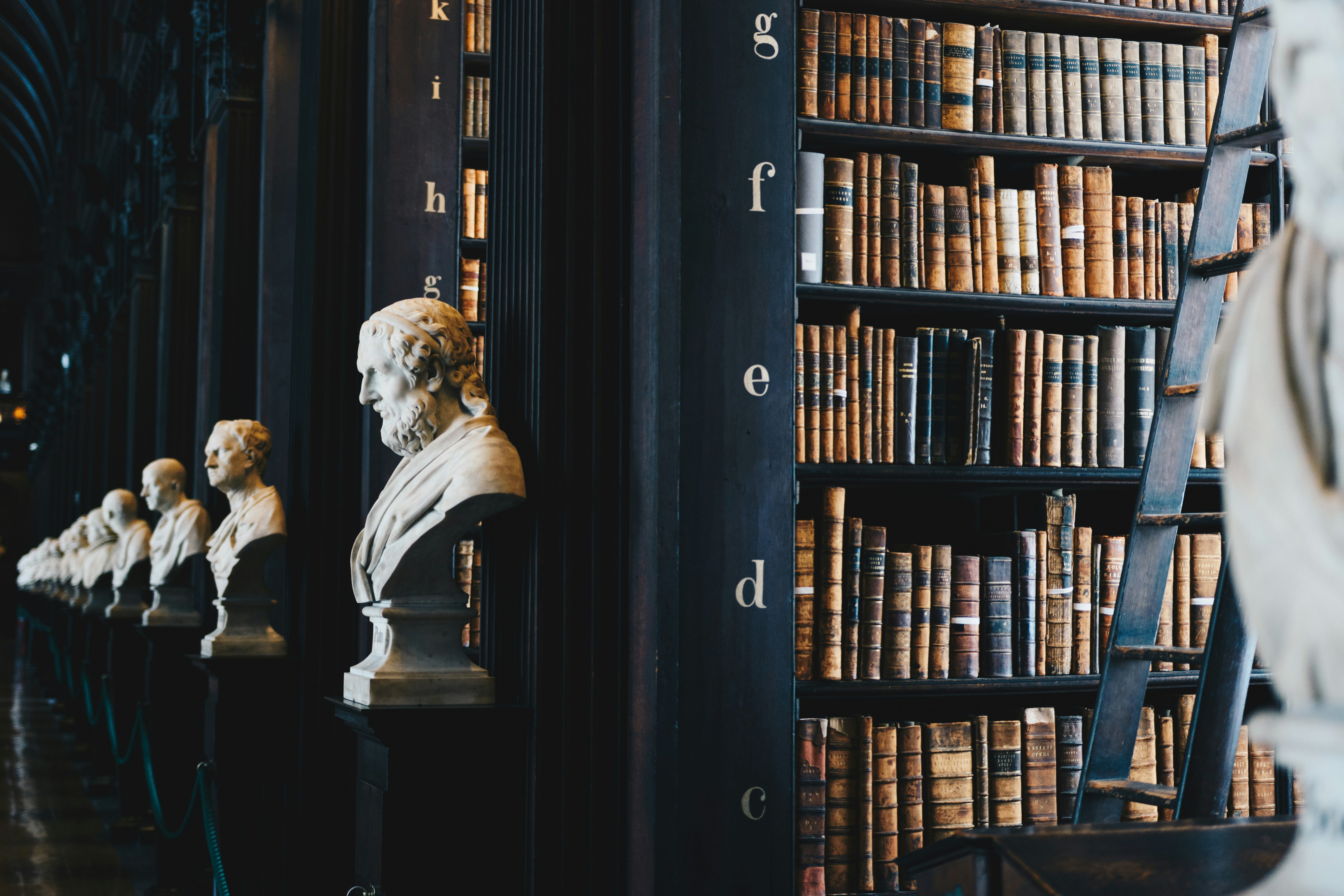 library with busts
