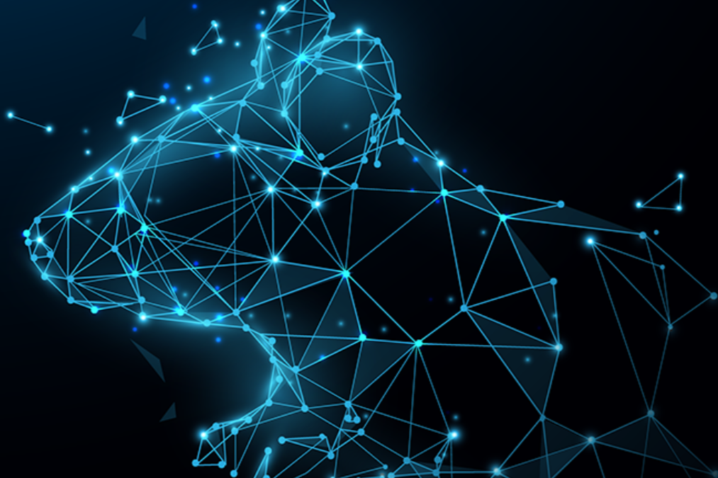 Digital Constellation Mouse