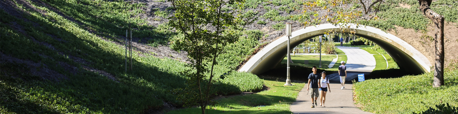 UCI bridge