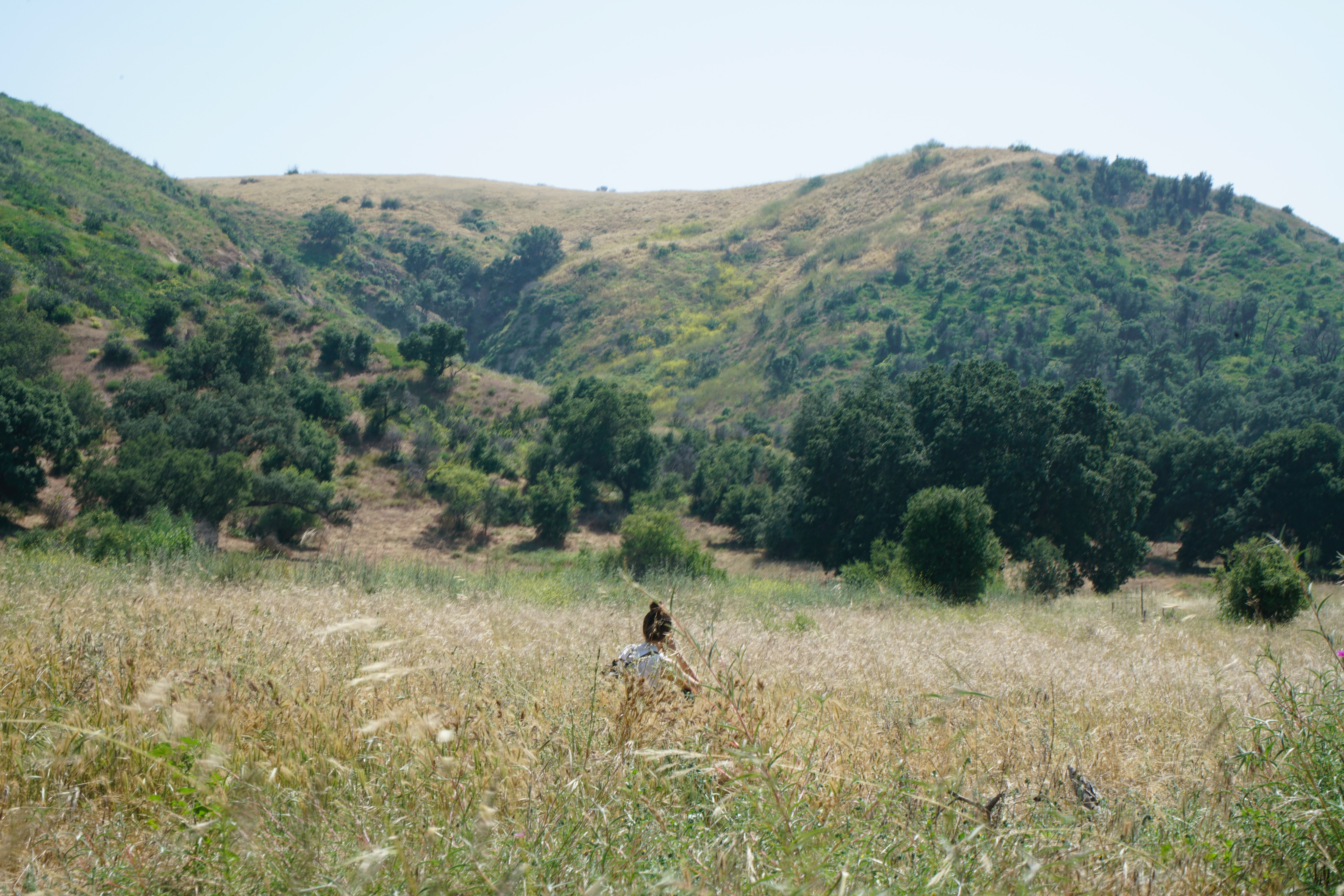 Environmental Humanities Research Center