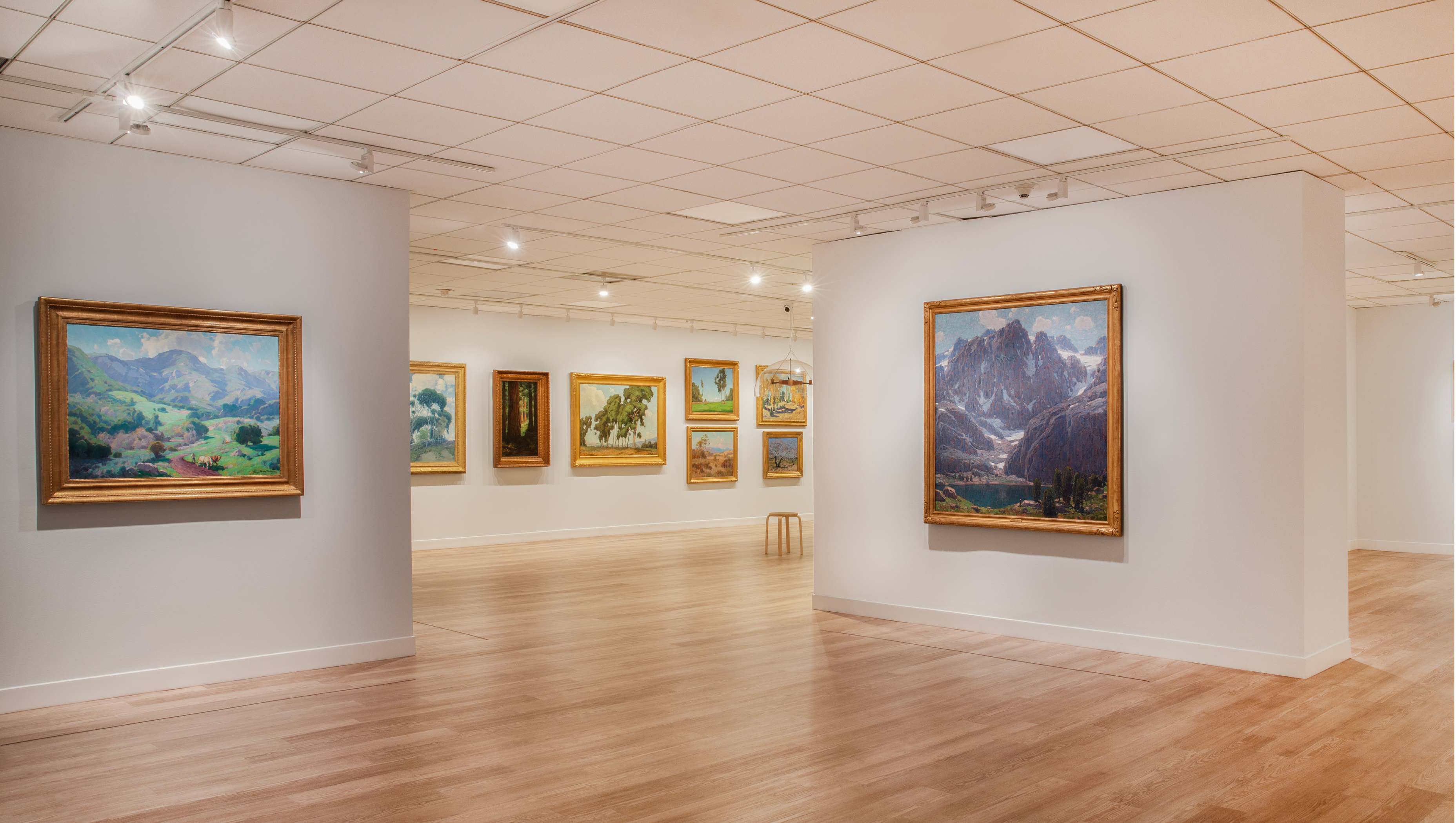 UC Irvine Langson Orange County Museum of Art Exhibit "Habitat" 