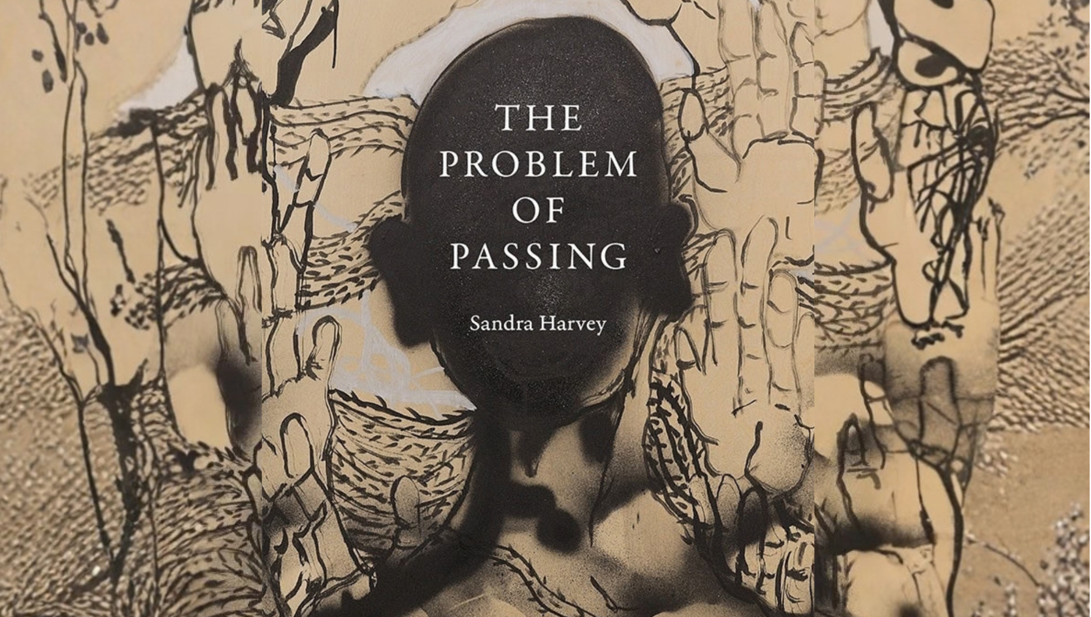 The cover of the bool "The Problem of Passing"