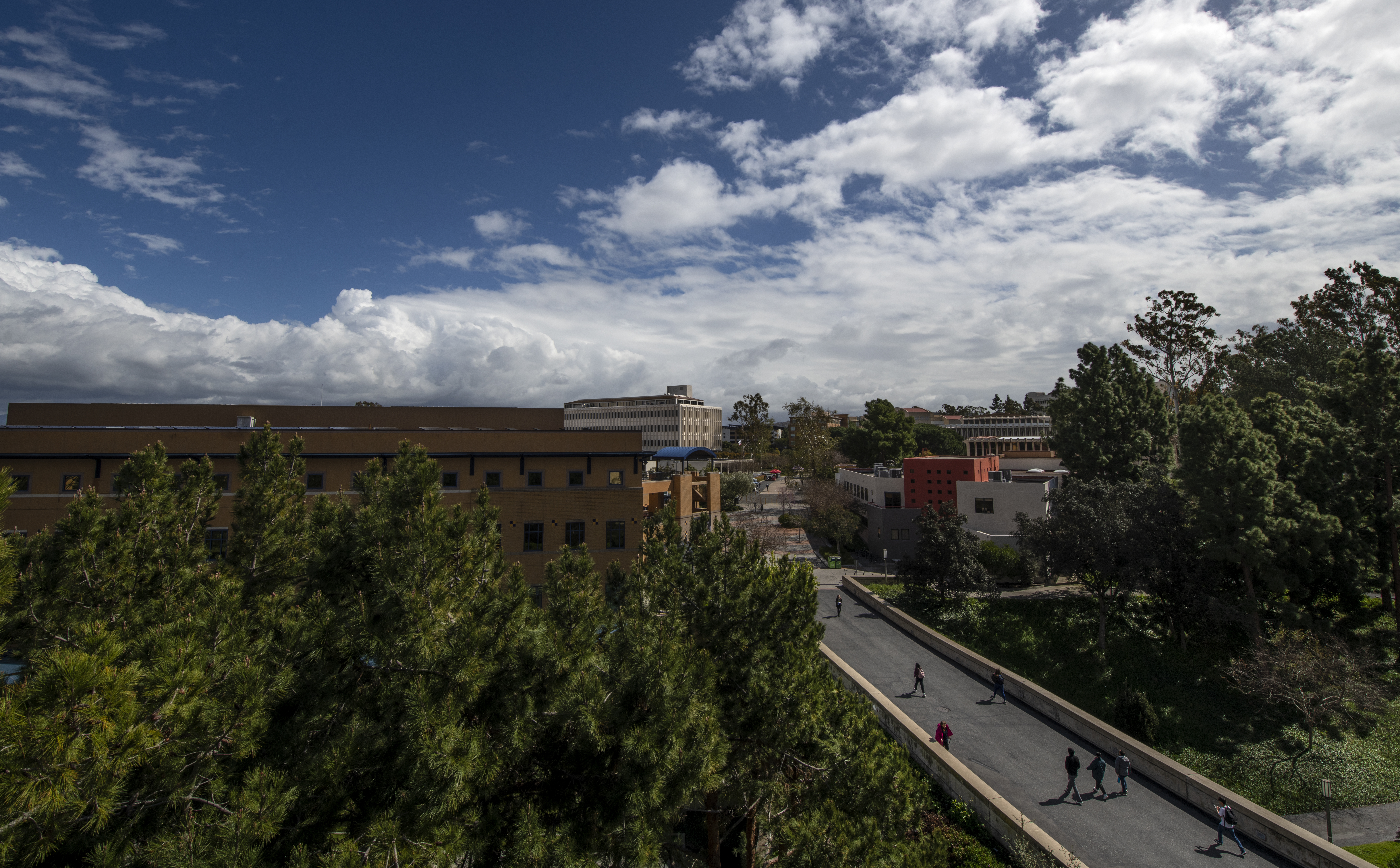 Landscape of Ringroad Campus