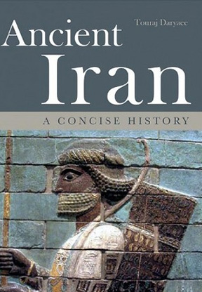 Ancient Iran: A Concise History