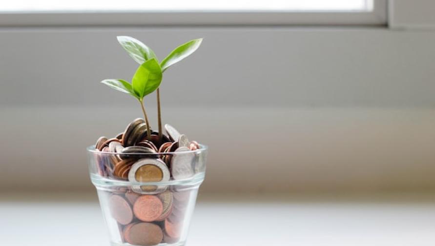 small glass jar with pennies and a sprouting green plant