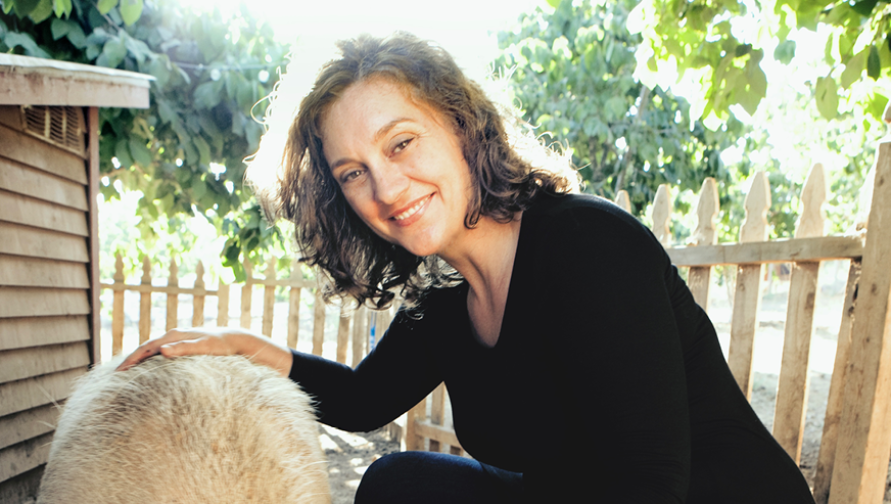 briannewebsite.png briannewebsite.png