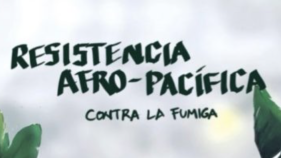 Afro Pacific Resistance Against Pesticides