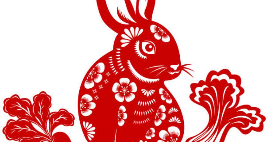 Year of the Rabbit