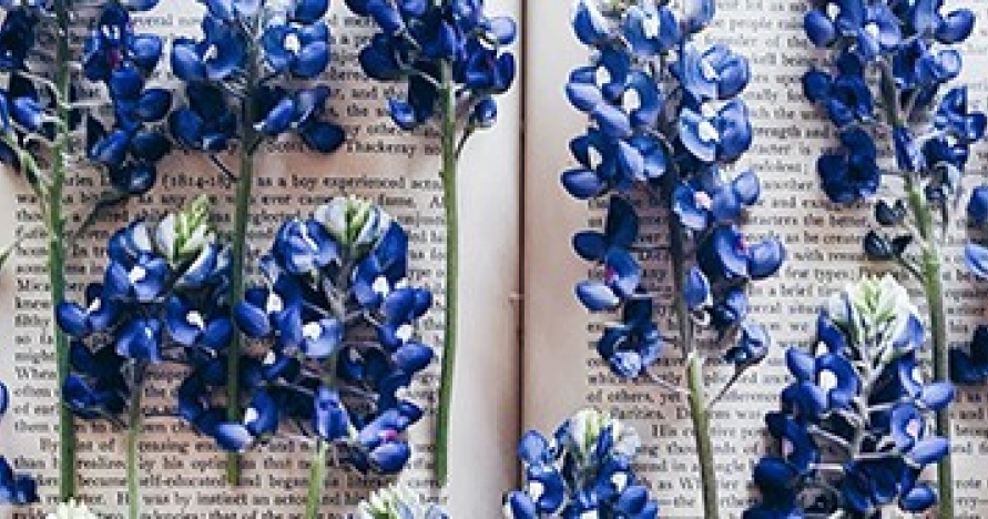 Image from Storytelling Webpage