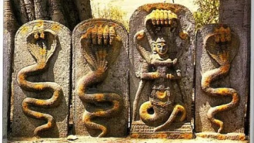 Nagas Stones
