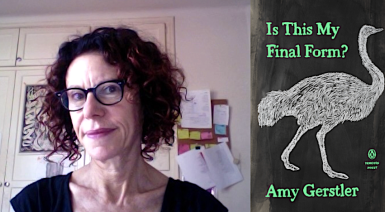 Profile image of Amy Gerstler with book cover