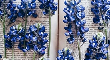 Image from Storytelling Webpage