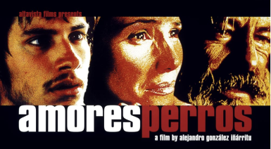 Amores Perros