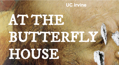 Decorative Image of Dr. Hamann's book project, "At the butterfly house"
