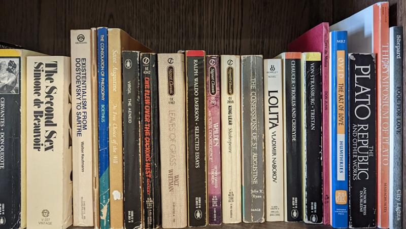 A row of books stacked upright on a shelf