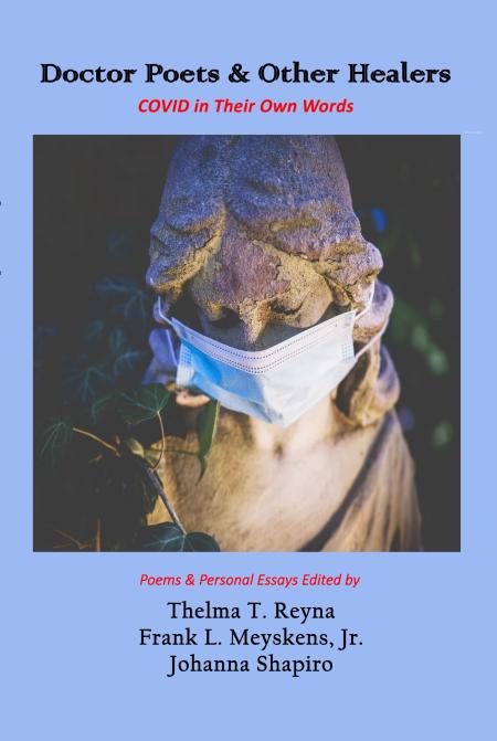 book cover blue with image of stone angel wearing medical mask