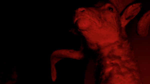 Statue of some ram with red lighiing