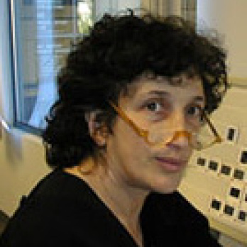 Sally A. Stein