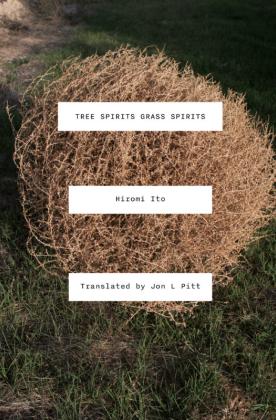 The cover of Tree Spirts Grass Spirits