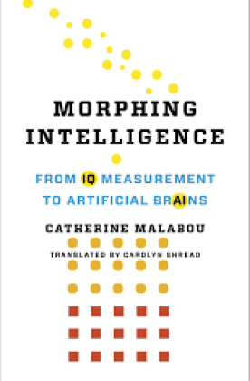 morphingintelligence