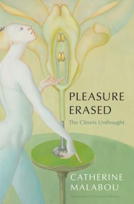 pleasureerased