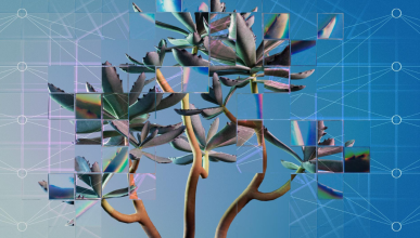 A photographic rendering of a succulent plant seen through a refractive glass grid