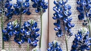 Image from Storytelling Webpage