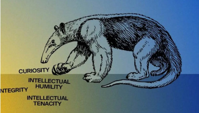Anteater Virtues Image