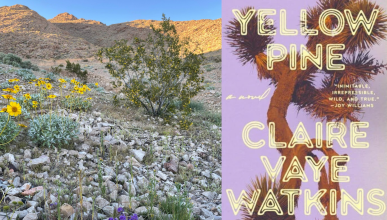 The Mojave desert with the cover of Claire Vaye Watkins "Yellow Pine: A Novel"