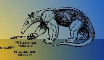 Anteater Virtues Image